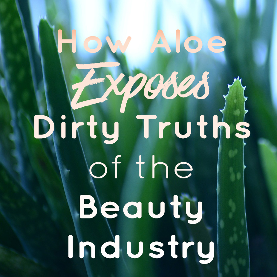 How Aloe Exposes Truths of the Beauty Industry